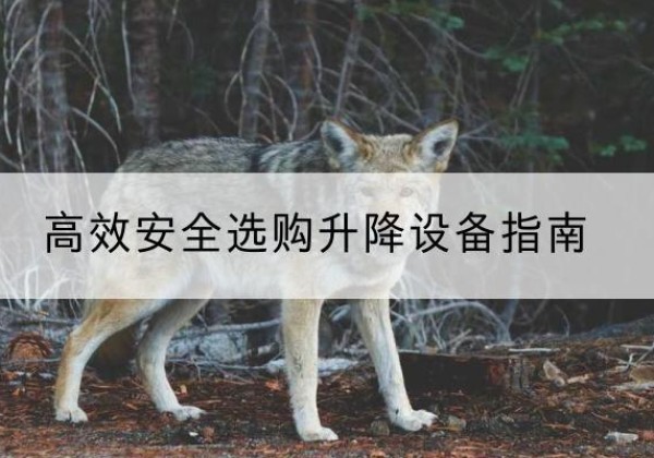 攸县升降货梯厂家推荐-*安全选购升降设备指南