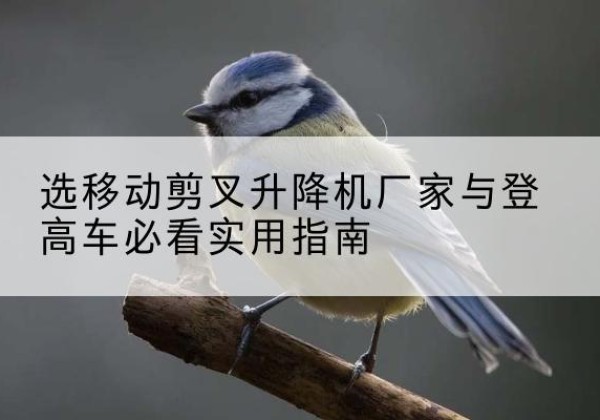 攸县电动升降机厂家-选移动剪叉升降机厂家与登高车必看实用指南