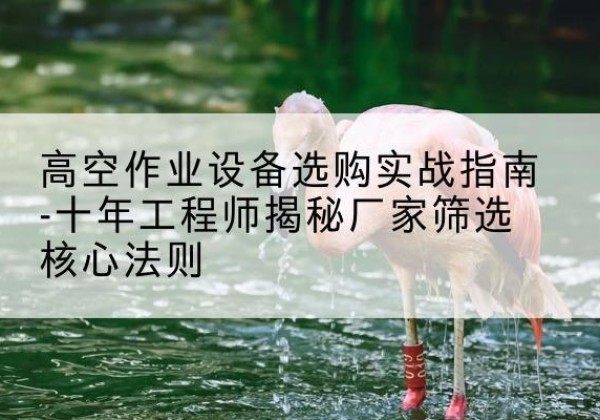 攸县剪叉式升降机厂家-高空作业设备选购实战指南-十年工程师揭秘厂家筛选核心法则