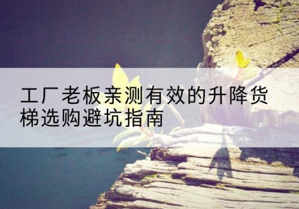攸县升降货梯怎么选-工厂老板亲测有效的升降货梯选购避坑指南